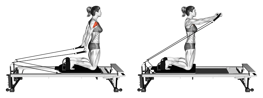 Reformer Kneeling Arm Circles: Front delt exercise | Heft