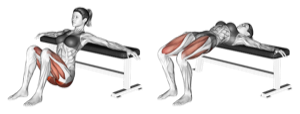 Hip Thrusts exercise illustration