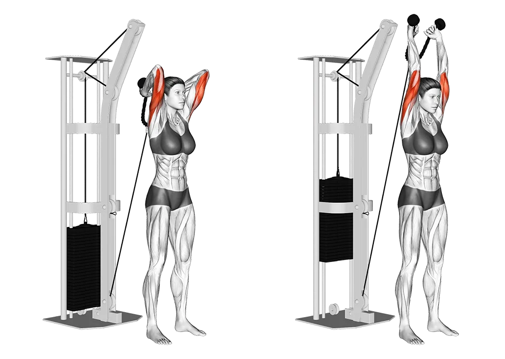 How to do the Overhead Cable Low Tricep Extension: form, steps & mistakes
