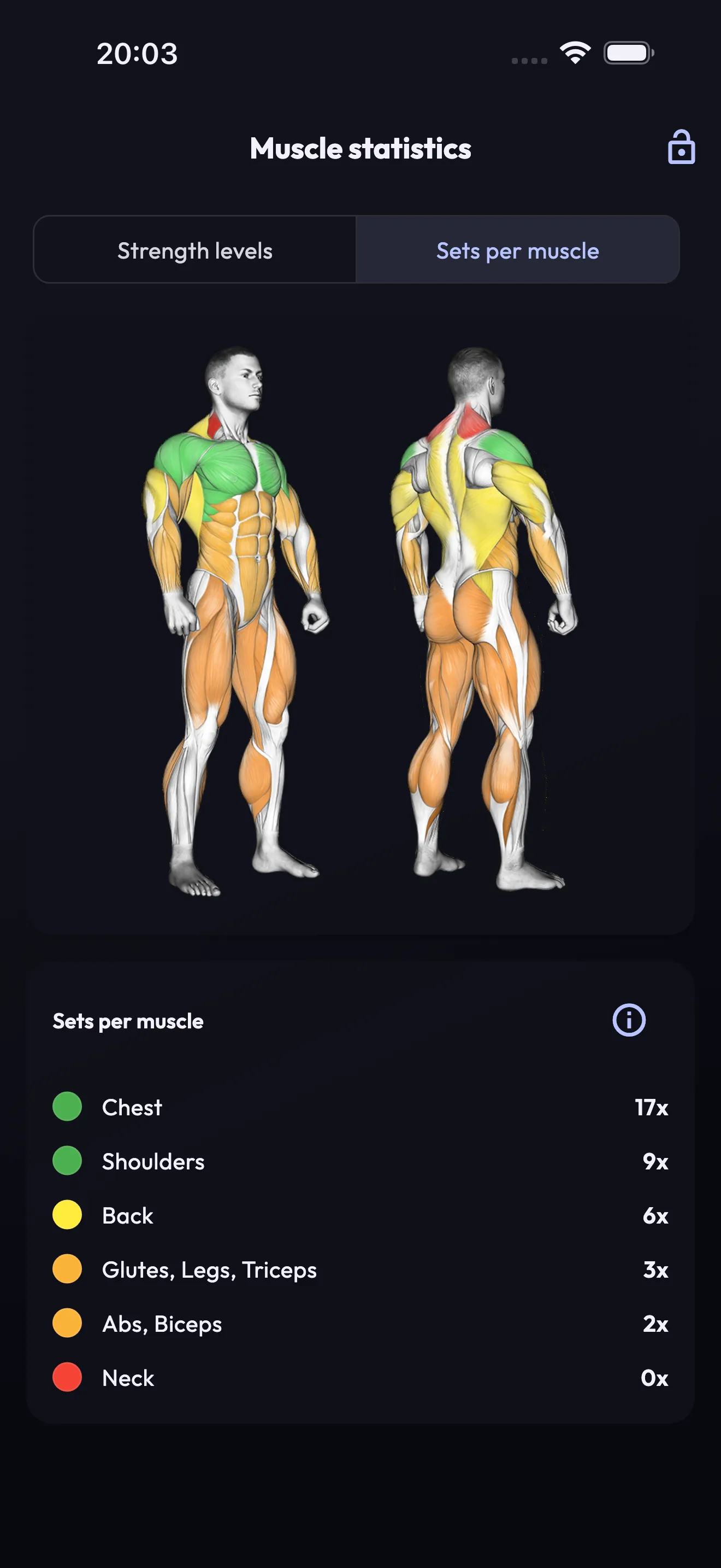 Muscle statistics heatmap with sets per muscle